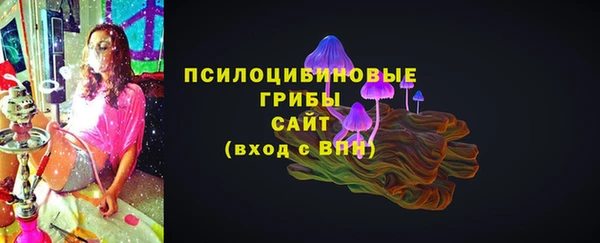 МДПВ Козельск