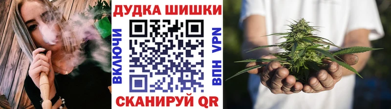 Купить закладки  Жиздра  Шишки марихуана THC 21% 